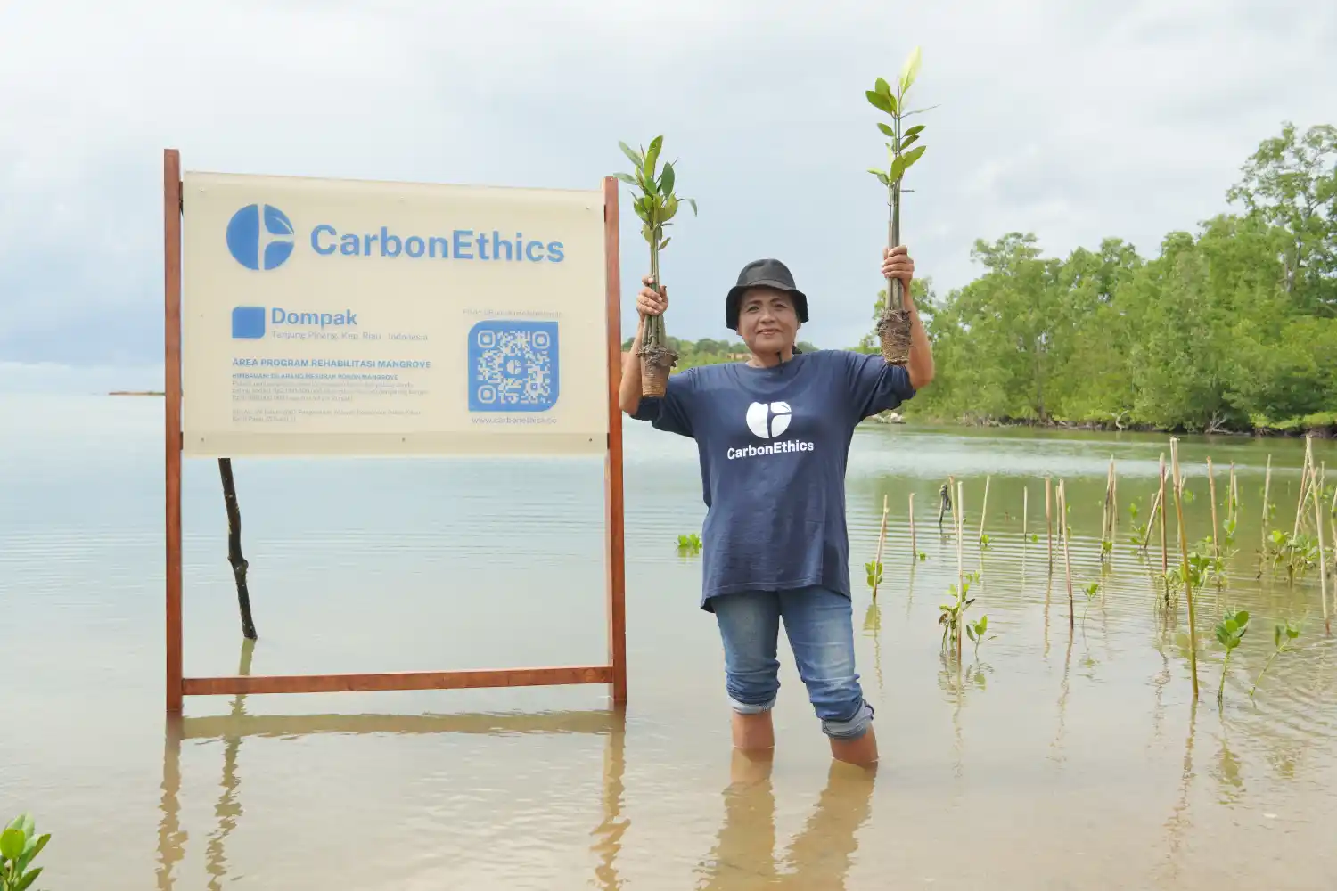Mangrove Rehabilitation in Kepulauan Riau
